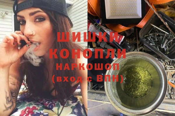стафф Аркадак
