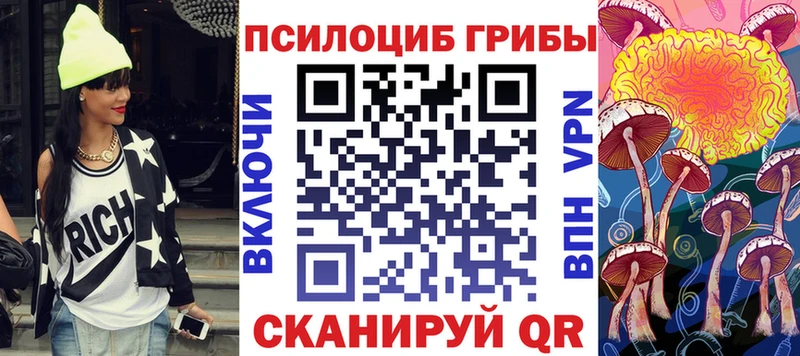 Псилоцибиновые грибы Psilocybine cubensis Микунь